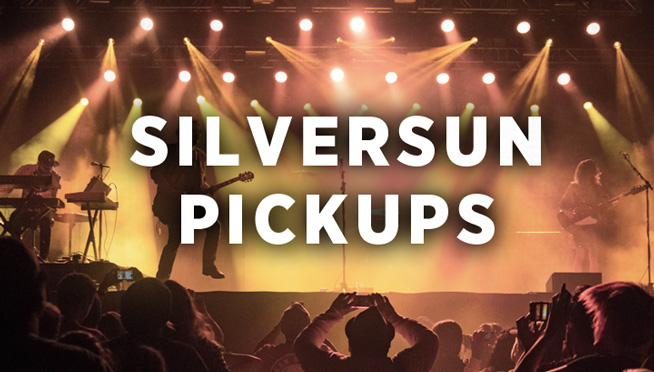 Pictures: Silversun Pickups at #TNWSC