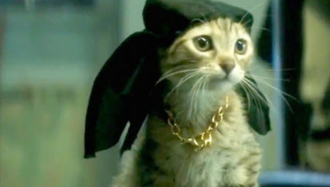 Yes, Keanu Reeves Voices Keanu the Cat in ‘Keanu’