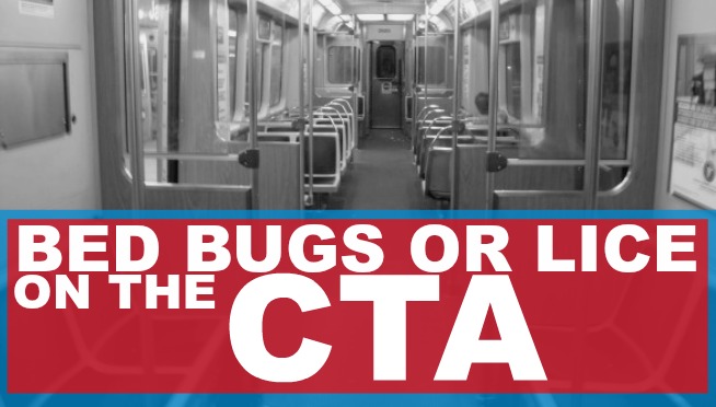 Bugs Found On CTA trains might be Bed Bugs or Lice