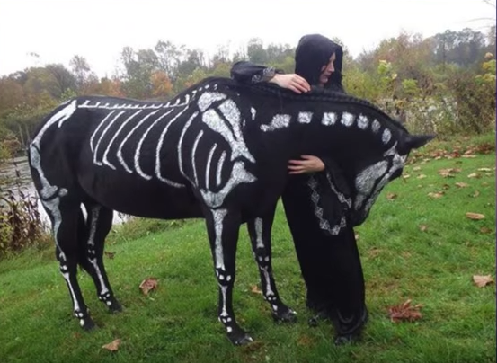 5 Halloween Costume Ideas For You And Your Pet