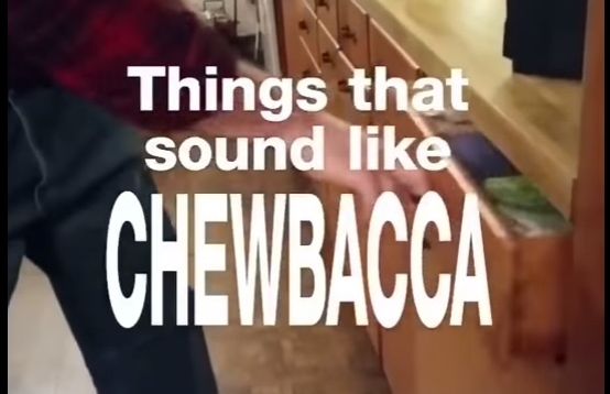 WATCH: Things That Sound Chewbacca