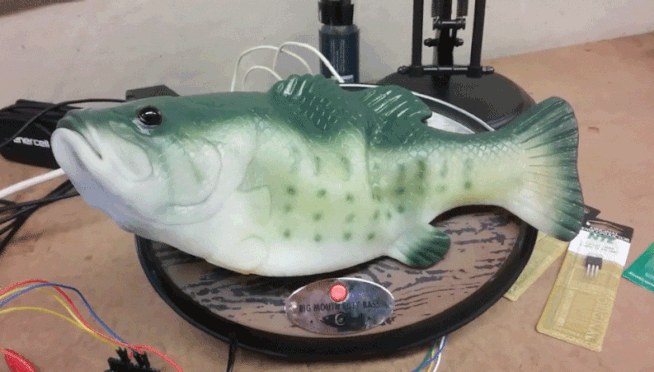 Someone Hacked Alexa Into…A Talking Fish
