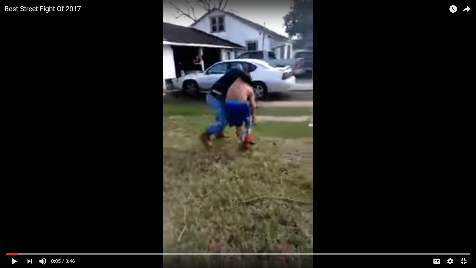 NSFW: Best Street Fight Of 2017