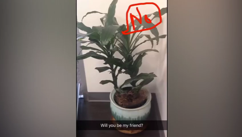 Will You Be My Friend?
