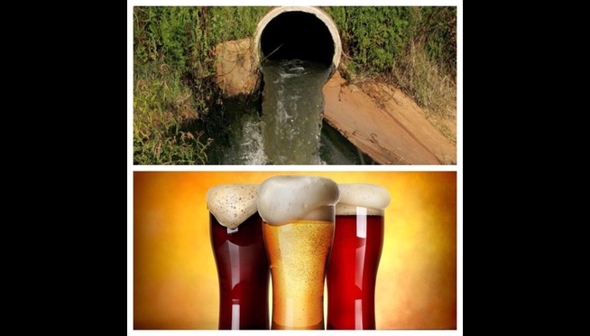Beer Made From Reclaimed Sewage Water?  Believe It.